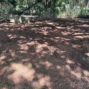 Leaf Removal by Affordable Lawn Solutions llc reviewed on December 2, 2021