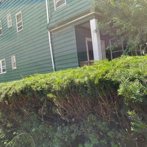 Bush Trimming by Good Guys Lawn and Fence reviewed on June 30, 2022