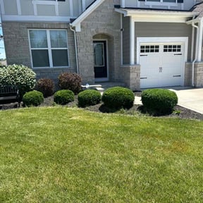Bush Trimming by AG Lawn & Services reviewed on May 9, 2025