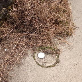 Cleanups by Grateful Green Lawn Care reviewed on October 28, 2021