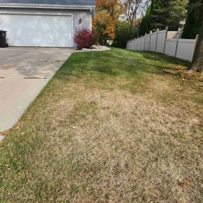 Leaf Removal by Right Lawn Care reviewed on August 8, 2022
