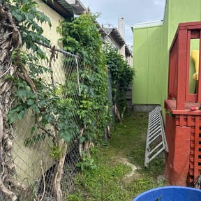 Bush Trimming by Rondy Goins reviewed on June 2, 2022