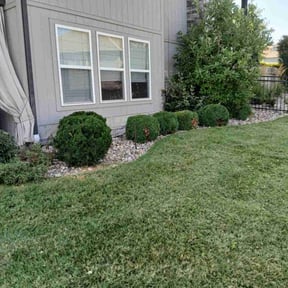 Bush Trimming by Taylor's Lawn care reviewed on July 21, 2022