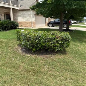 Bush Trimming by Clean Cut Lawn Service reviewed on August 9, 2025