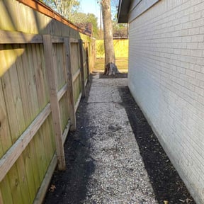 Leaf Removal by Chai reviewed on May 20, 2022