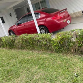 Bush Trimming by Rays Lawn Grooming & Snow Removal LLC reviewed on July 5, 2022