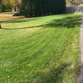 Leaf Removal by Early Bird Lawn Care LLC reviewed on March 29, 2022