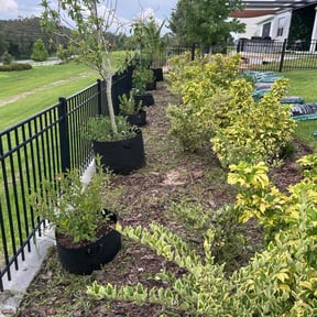 Weeding by Landsk8pe Tech’s reviewed on August 27, 2024