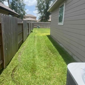 Cleanups by Green Garden The Woodlands reviewed on May 14, 2022
