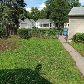 Cleanups by GoGreen Lawn Service reviewed on June 8, 2022