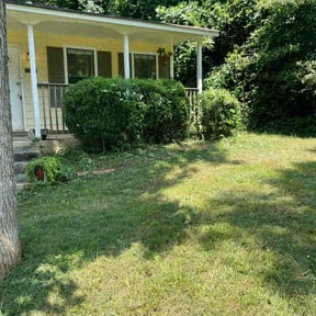 Bush Trimming by Hammond lawncare reviewed on October 5, 2024