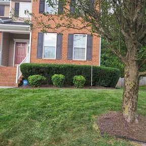 Bush Trimming by The Business reviewed on December 14, 2024