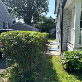 Bush Trimming by Erick's Lawn Maintenance reviewed on June 16, 2022