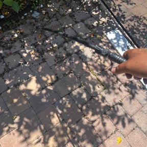 Weeding by Croc Landscape Corp reviewed on November 18, 2024