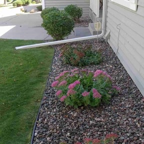 Bush Trimming by CM LANDSCAPED reviewed on March 29, 2022