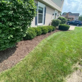 Flower Bed Weeding by F&C Lawn Care Services reviewed on June 7, 2025