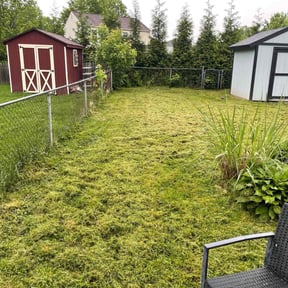 Flower Bed Weeding by In and Out reviewed on June 29, 2022