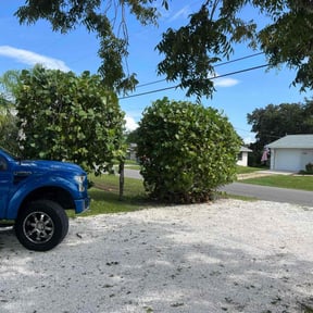 Bush Trimming by Truleaf landscaping reviewed on July 12, 2025