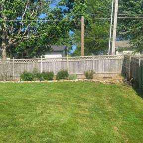 Bush Trimming by Elite Lawn Care reviewed on June 13, 2022