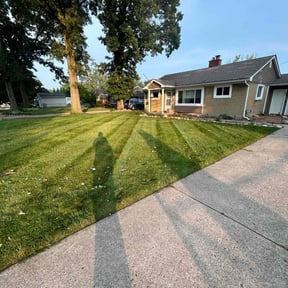 Cleanups by Royalty lawn care reviewed on June 6, 2022