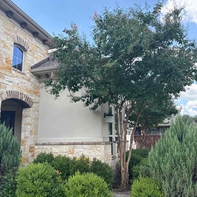 Bush Trimming by Bruhn&#039;s Precision Lawn reviewed on September 11, 2024