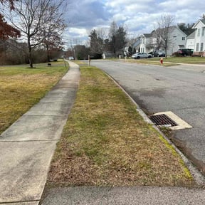Leaf Removal by Lawn Lacerations LLC reviewed on April 25, 2022
