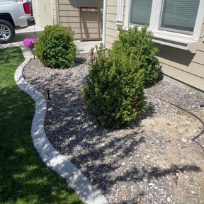 Weed Pulling by Dk&amp;sons handyservices llc reviewed on September 17, 2024