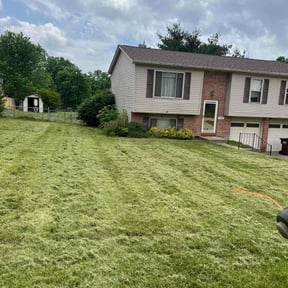 Cleanups by Randy's lawncare reviewed on July 24, 2022