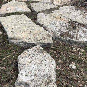 Bush Trimming by J & C Lawn Maintenance LLC reviewed on April 26, 2022
