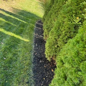 Flower Bed Weeding by All Mowing Services reviewed on April 7, 2022