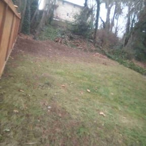 Leaf Removal by Self Made Rich reviewed on August 6, 2024