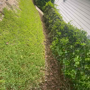 Cleanups by W C Lawne Care reviewed on July 28, 2022