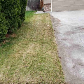 Leaf Removal by Quality1 reviewed on September 29, 2021