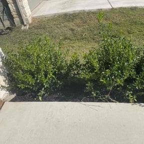 Mulching by Bakers lawn service reviewed on May 26, 2022