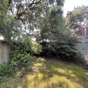 Bush Trimming by Chop Shop Lawns and Landscaping reviewed on April 25, 2025