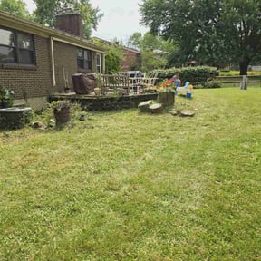 Cleanups by The Mowing Bro's LLC reviewed on May 5, 2022