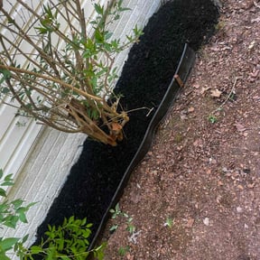 Mulching by A D's Lawn Care LLC reviewed on November 4, 2024