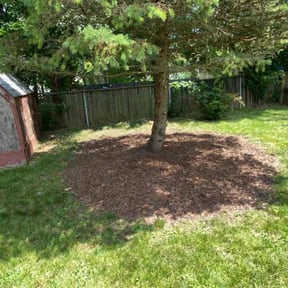 Flower Bed Weeding by Tammy home service reviewed on July 31, 2022