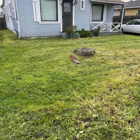 Cleanups by The Green Op reviewed on July 20, 2022