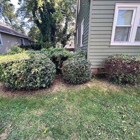 Bush Trimming by Field of Dreams Landscaping reviewed on April 5, 2025