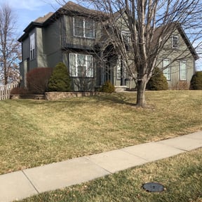 Leaf Removal by Tropicare Landscape and Maintenance reviewed on May 19, 2022