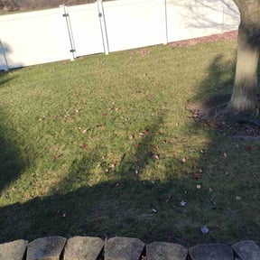 Leaf Removal by C.H Lawn Care Service reviewed on October 16, 2021
