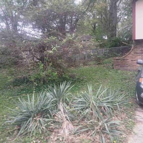Cleanups by Yard Boss Lawn & Landscape LLC reviewed on July 1, 2022