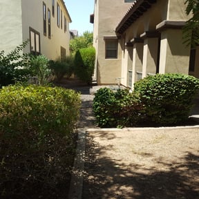 Bush Trimming by E&amp;E Landscape Services reviewed on November 15, 2024