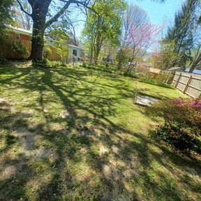 Cleanups by The colonels outdoor maintenance reviewed on July 1, 2022