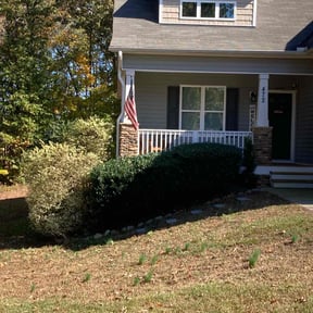 Bush Trimming by B&j lawncare & landscaping services reviewed on October 30, 2022