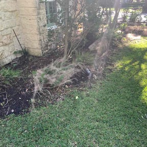 Leaf Removal by The LawnXperts reviewed on June 4, 2022