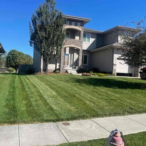 Cleanups by Dump N' Dash Dumpsters LLC reviewed on July 5, 2025