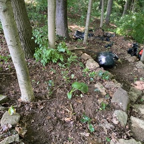 Leaf Removal by Omar Norris reviewed on July 25, 2022