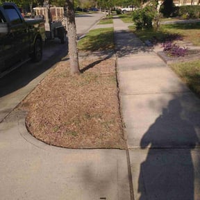Cleanups by VanderWaarden Lawn Services LLC reviewed on April 20, 2022